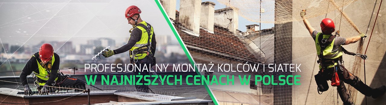 Montaż siatek przeciw ptakom